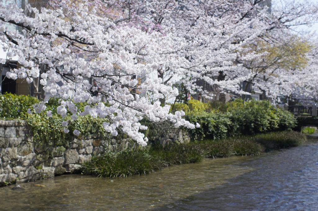 Jeugiya Villa Kyoto Luaran gambar