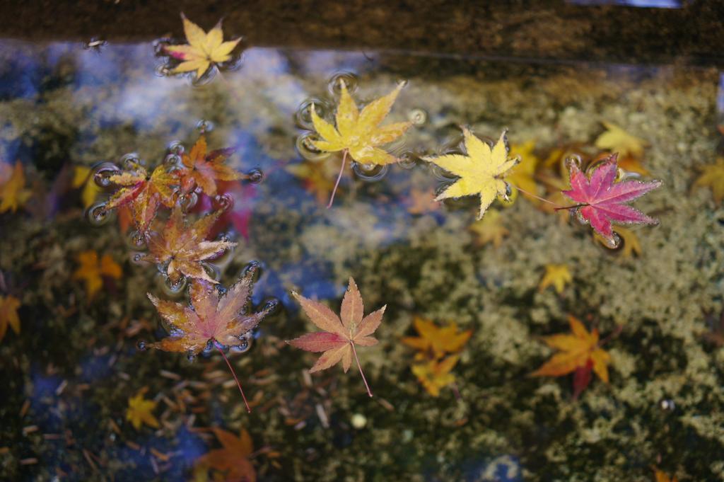 Jeugiya Villa Kyoto Luaran gambar